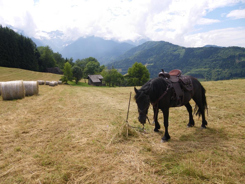 Gite Le Cerf De Belledonne Sainte-Agnès エクステリア 写真