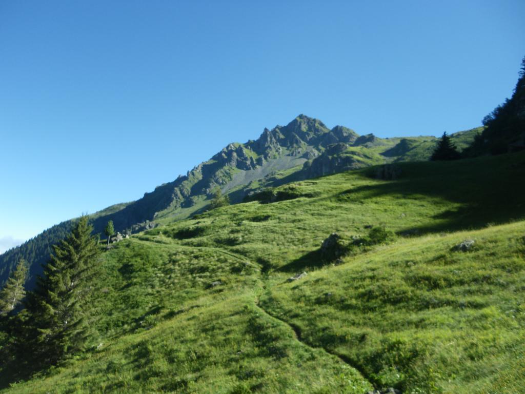 Gite Le Cerf De Belledonne Sainte-Agnès エクステリア 写真