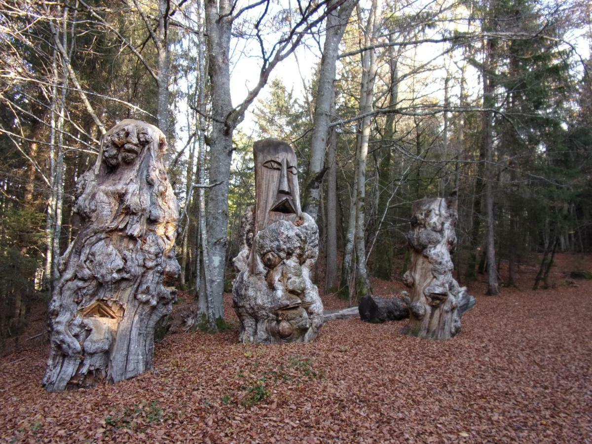 Gite Le Cerf De Belledonne Sainte-Agnès エクステリア 写真