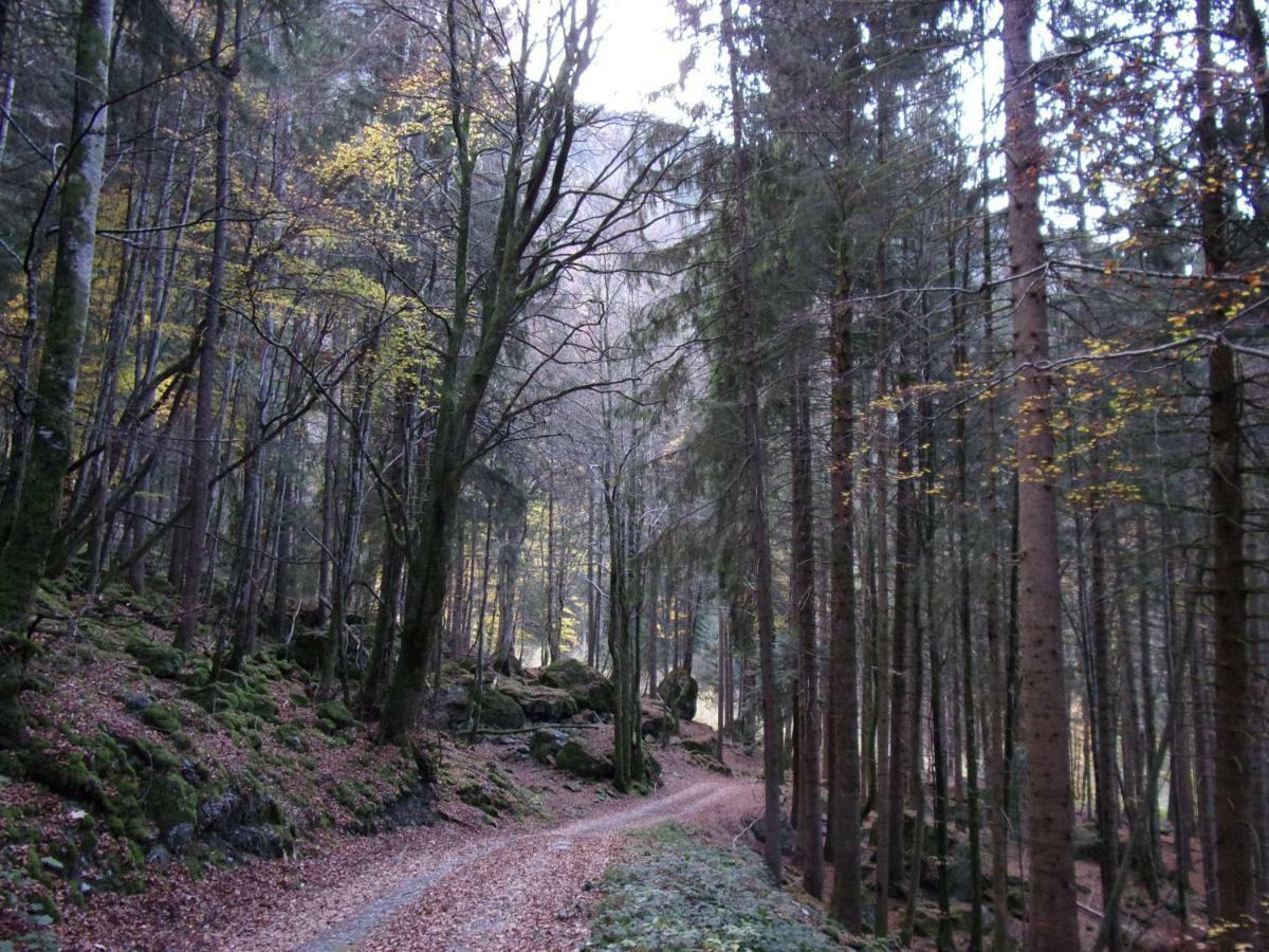 Gite Le Cerf De Belledonne Sainte-Agnès エクステリア 写真